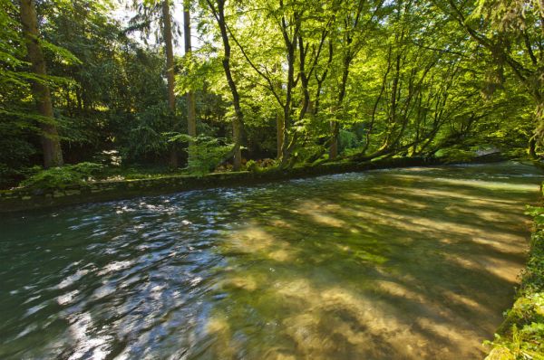 Etape dans le Jura Nuitée & PDJ, Dîners hors boisson