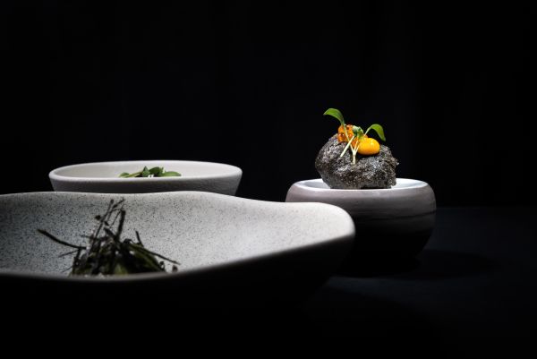 Ode à la Terre avec accord mets et vins